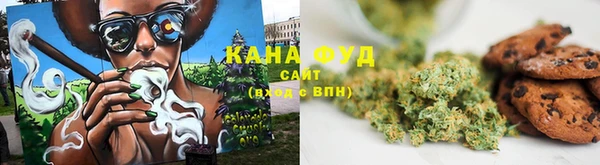 стаф Алзамай