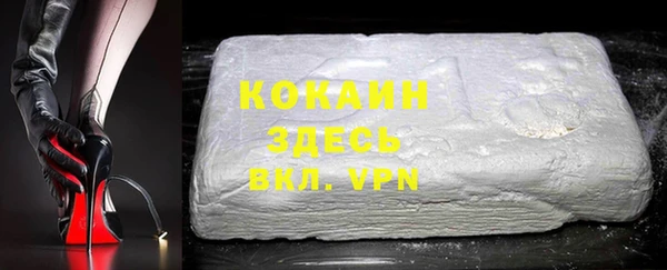 стаф Алзамай