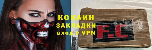 кокс Алексин