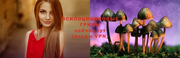 кокс Алексин