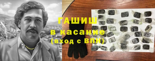 стаф Алзамай