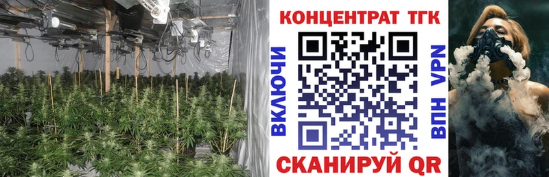 дарнет шоп  Петушки  ТГК концентрат 