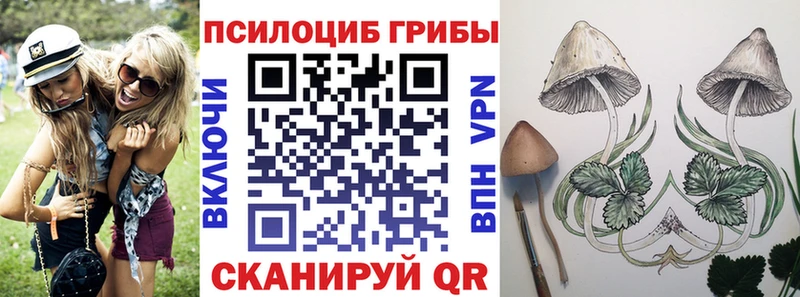 Галлюциногенные грибы Cubensis где продают наркотики гидра вход Петушки