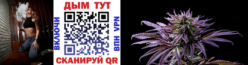 Шишки марихуана VHQ как найти мориарти какой сайт Петушки